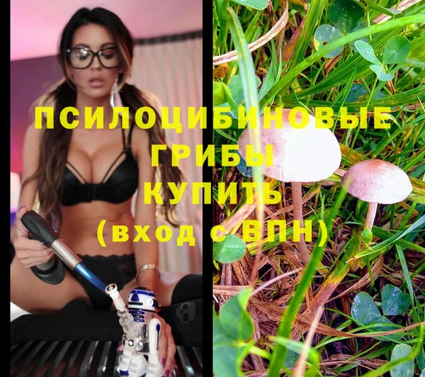 стаф Балабаново