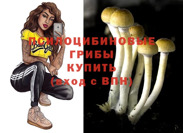 стаф Балабаново