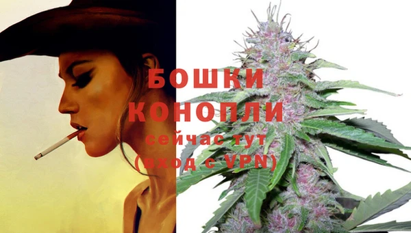 стаф Балабаново