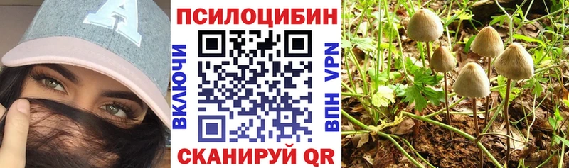 Купить закладки  Ивангород  Псилоцибиновые грибы Magic Shrooms 