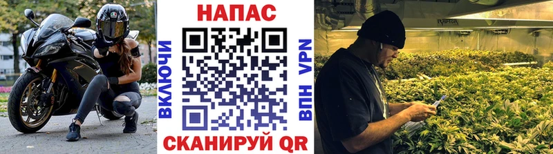 Купить закладки Ивангород Каннабис планчик